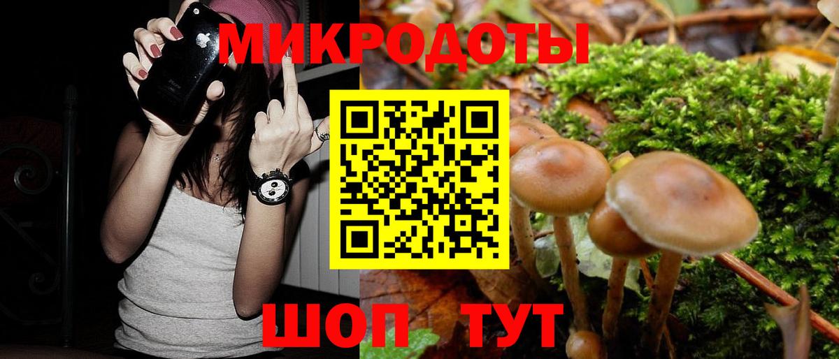Галлюциногенные грибы Psilocybe  Псилоцибиновые грибы Psilocybine cubensis  Вход с VPN  Тихорецк 